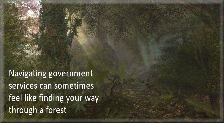 Navigating government services can sometimes feel like finding your way through a forest