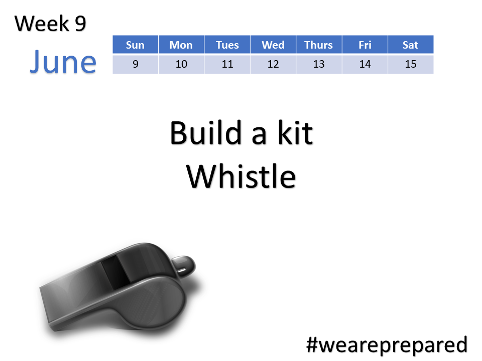 Build a Kit - Buy a Whistle